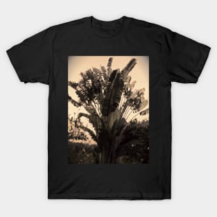 Travellers tree T-Shirt